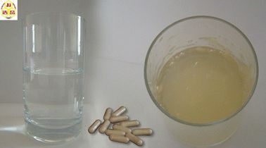 China Medical Grade Sodium Alginate supplier