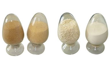 China Sodium Alginate Viscosities supplier