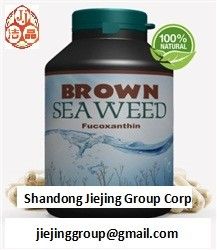 China natural brown seaweed wakame extract fucoxanthin 1%, 5%, 10% 20% powder ingredients supplier
