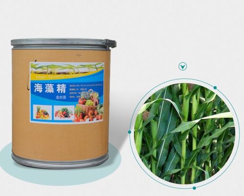China seaweed extract powder fertilizer supplier