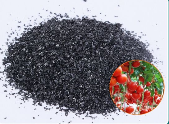 China brown seaweed extract powder supplier