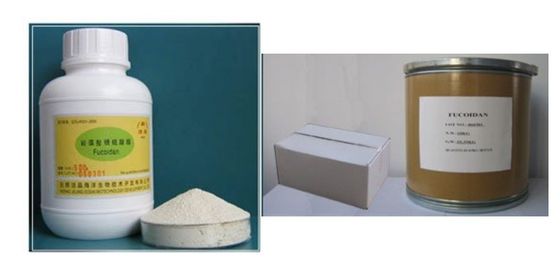 China fucoidan extract powder supplier