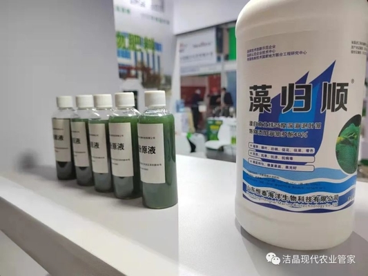 China seaweed extract as biostimulant supplier
