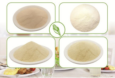 China Xanthan Gum In Ice Cream, Xanthan Gum Food Grade supplier