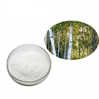 China salix alba bark extract, salix alba bark extract in skin care, salix alba bark extract uses in cosmetics supplier