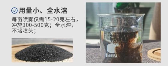 China organic seaweed extract plant booster supplier
