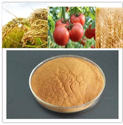 China Chitosan oligosaccharide agriculture use supplier