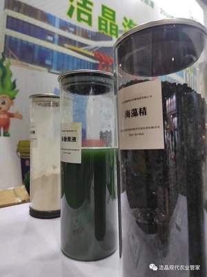 China AlgaPure seaweed extract flakes supplier