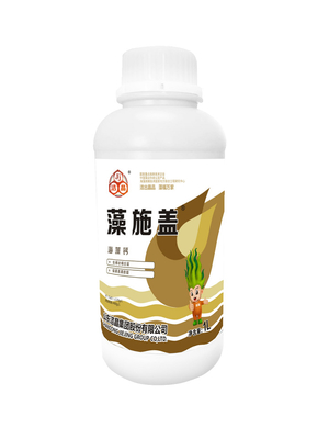 China AlgaCa liquid seaweed extracts with fortified calcium supplier